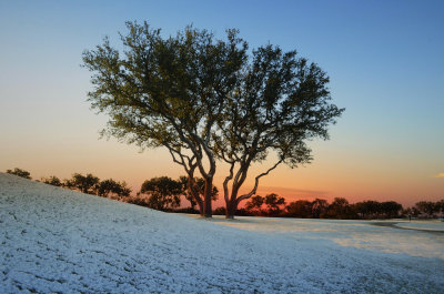 SnowInAustin9581