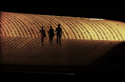 Museum of Words