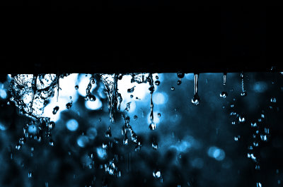 RaindropsFromTheRoof1137