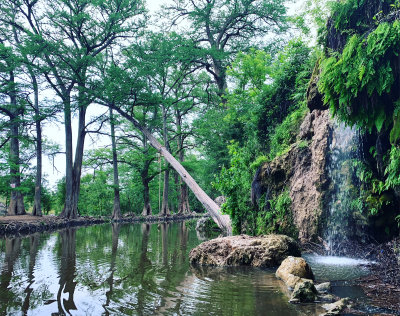 KrauseSprings_EarlyMorning