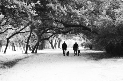 MorningWalk1532