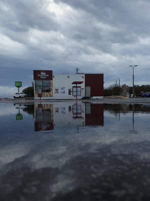 Reflections5970