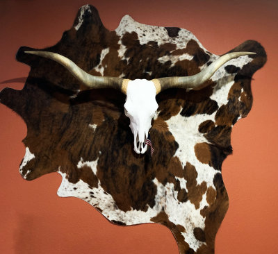 TexasLonghorn7110