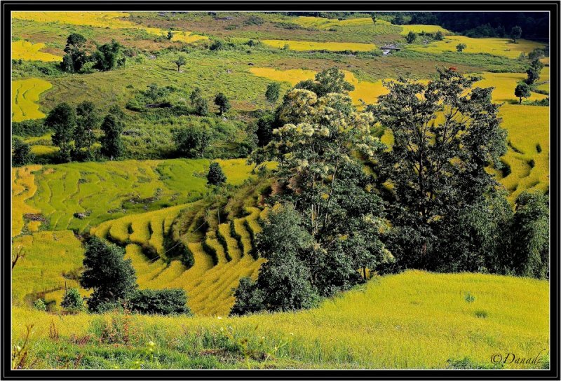 Valleys of Sikkim.