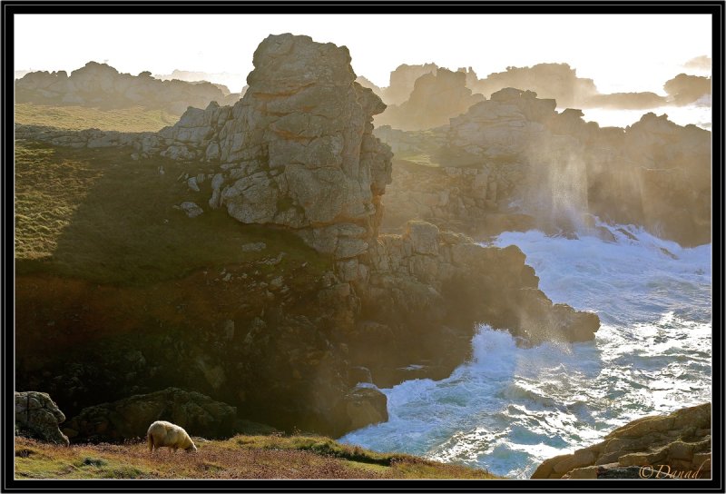 Ouessant. (Iles du Ponant - II)