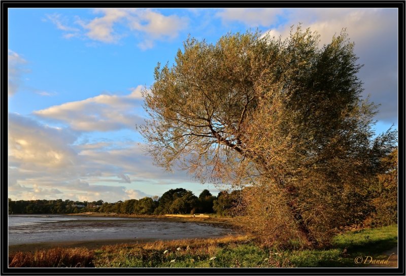 Automne.