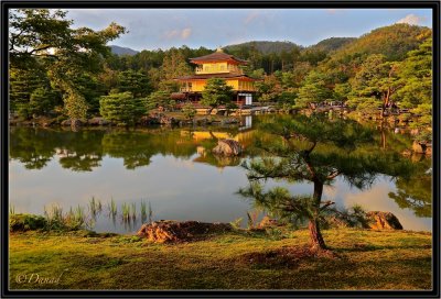 Kinkaku-ji Sunset.