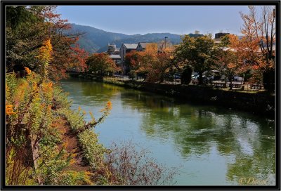 Matin d'automne à Kyoto.