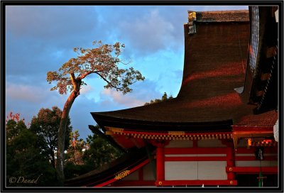 Sunset on Yasaka Shrine.