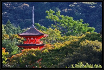 Red Pagoda. Kyomizu Dera Area.