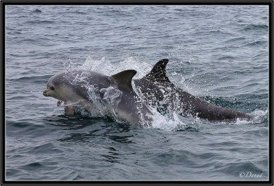 Baby and Mummy.