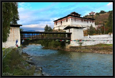 Paro. Blue Hour.