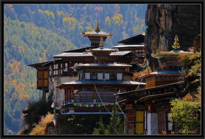 Dzongdrakha.