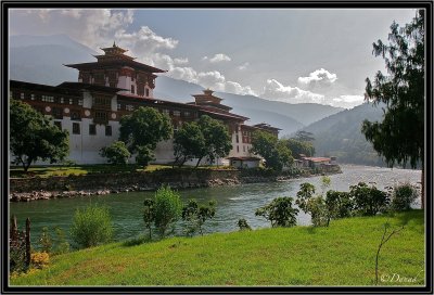  Punakha Dzong and River Ma.