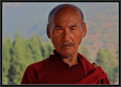 Portrait of a  Buddhist.