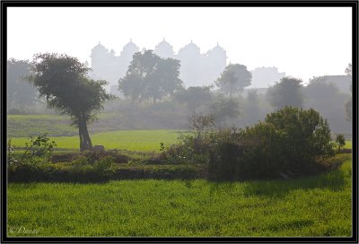 Maharajahs Fields.