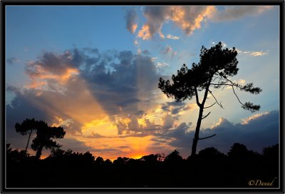 Sunset on the Polder.