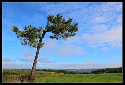 Aprs la Brume.