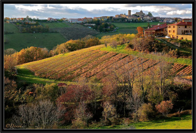 Bacchus prend soin de ses vignes.