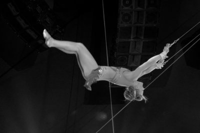 BigAppleCircus742A.jpg