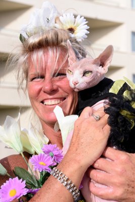 PetMasquerade32.jpg