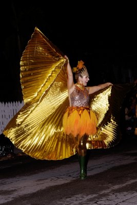 Parade201i.jpg