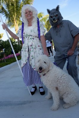 PetMasquerade64k.jpg