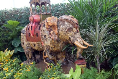 BronxBotanical85.jpg