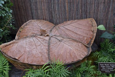 BronxBotanical99.jpg
