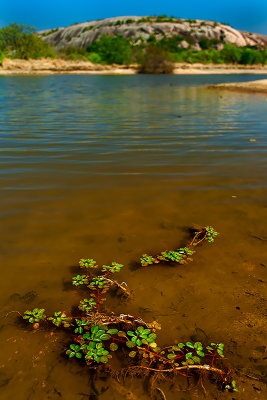 Hill Country, TX, USA