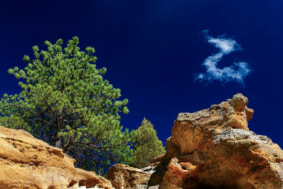 Colorado Springs, CO, USA
