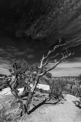 Grand Canyon, AZ, USA _MG_3088.jpg