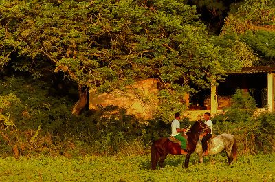 Fernando de Noronha, PE, Brazil 
 IMG_3033.jpg