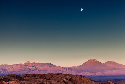 Atacama desert, Chile _MG_6352-c.jpg