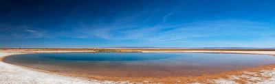 Atacama desert, Chile _mg_6513-c1.jpg