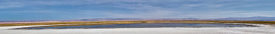 Atacama desert, Chile _mg_6645_MG_6645-Panorama.jpg