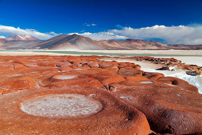 Atacama desert, Chile _MG_7235.jpg