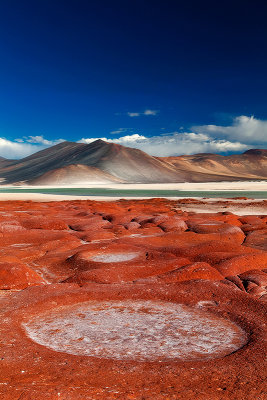 Atacama desert, Chile _MG_7239.jpg