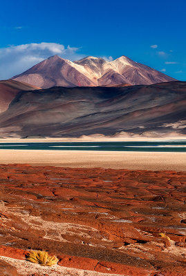 Atacama desert, Chile _MG_7313.jpg