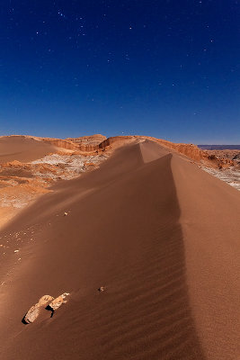 Atacama desert, Chile _MG_7566.jpg