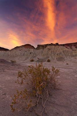 Atacama desert, Chile _MG_7666.jpg