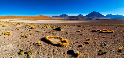 Atacama desert, Chile Panorama_miscanti-2.jpg