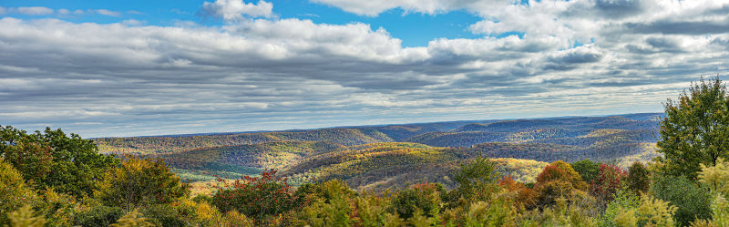 Cherry Springs Vista