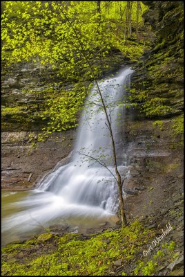 Amphitheater Falls