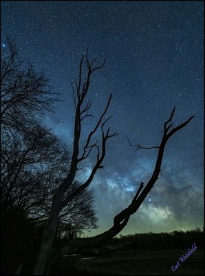The milkyway silhouettes my favorite dead tree.