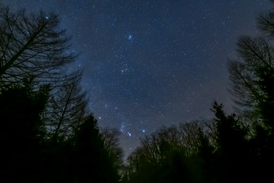 Starry sky over the Pa.Black Forest 