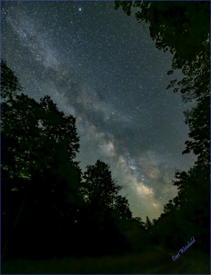 Milkyway thru a tree slot