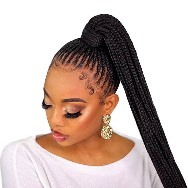 Suitable Braided Ponytail