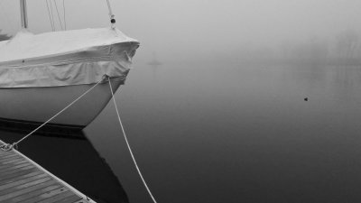 Yacht Haven In Fog Pier 1