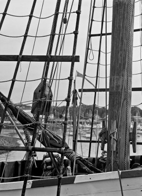 Rigging